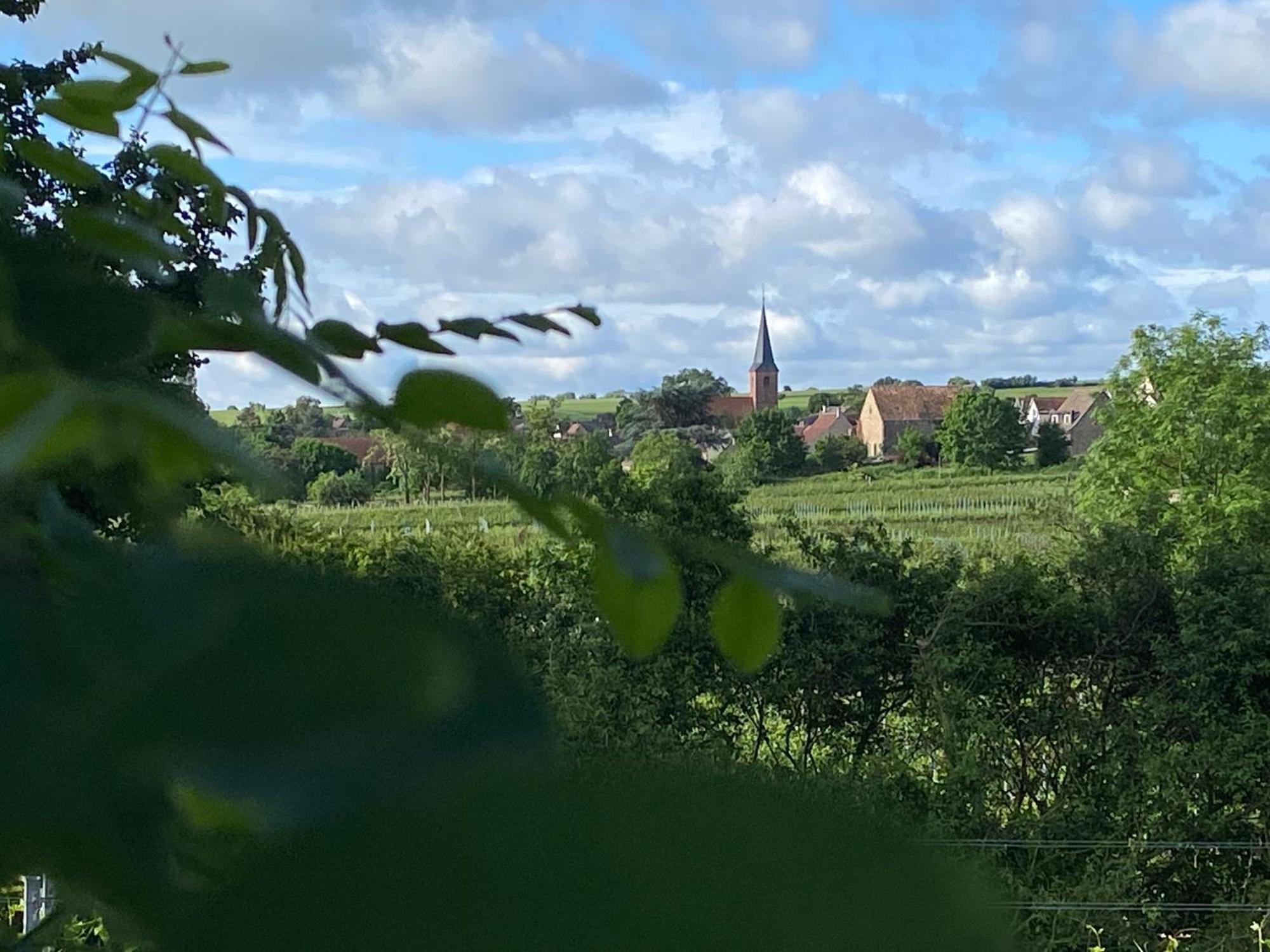 Zum Schockelgaul Gaestehaus Forst an der Weinstrasse Bagian luar foto